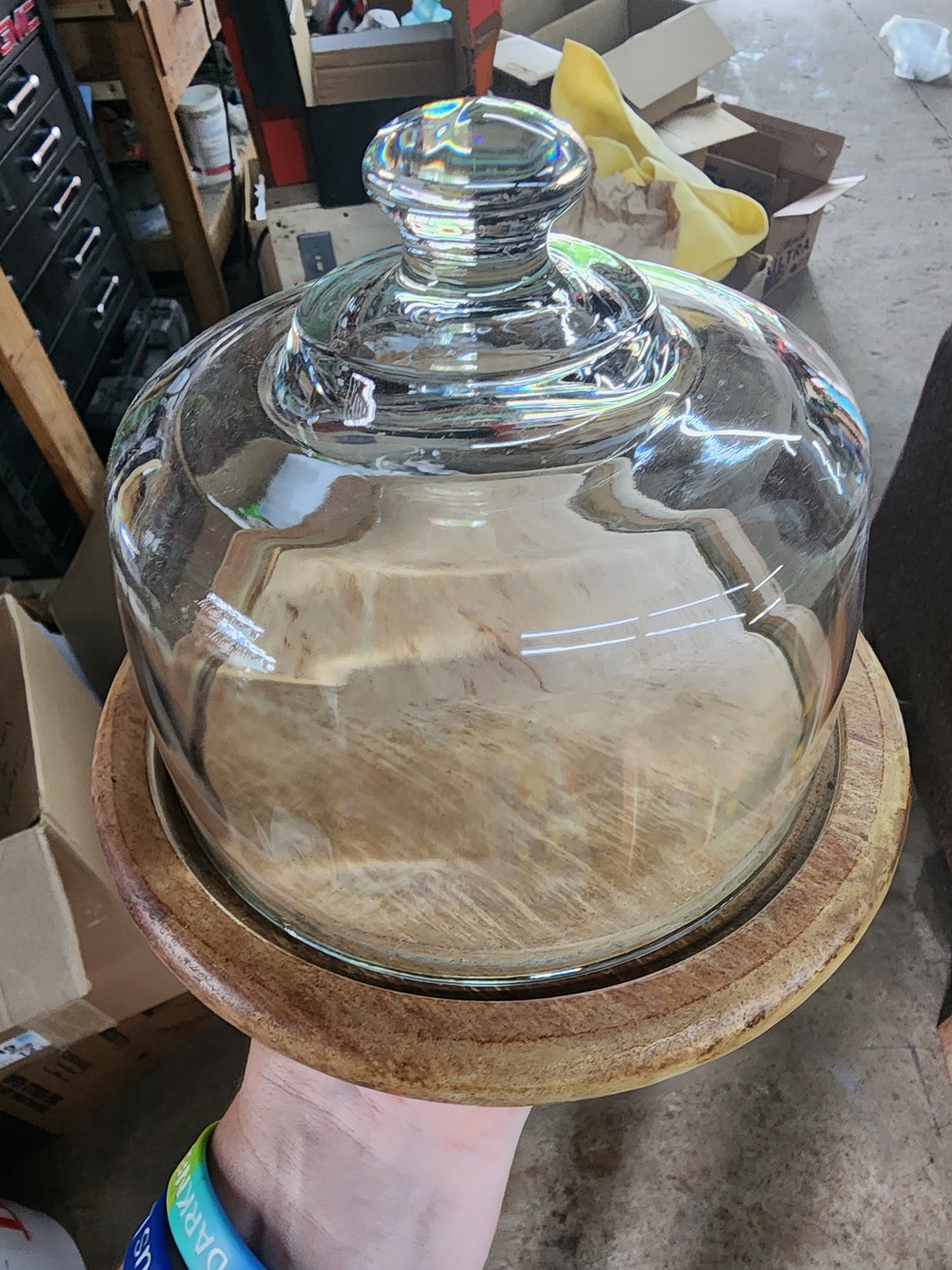Glass Dome Cloche on Wood Base - Clear Glass, Natural Wood